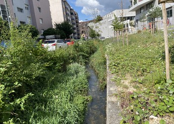 Etat réalisé (juillet 2023) – 3 ans après travaux (à gauche rive droite et à droite rive gauche)
