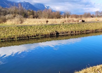 Jour 1 – Partie pratique sur le Grand Canal à Noville (diagnostic de terrain)