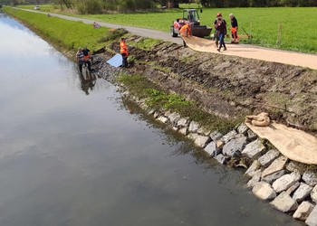 Jour 2 – Réalisation sur le Grand Canal à Noville (fin de la mise en place des substrats minéraux et préparation des sacs en géotextiles biodégradables, 3 types différents testés)