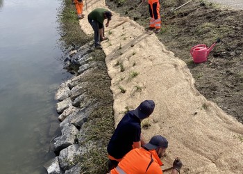 Jour 2 – Réalisation sur le Grand Canal à Noville (plantations d’hélophytes prélevées en nature les jours avant)