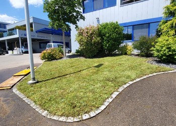 Etat réalisé (juin 2023) – Rouleaux de gazon fleuri venant d’être posé, la floraison suivra peu de temps après. Un gazon fleuri à la place d’un gazon traditionnel permet d’apporter nourriture et abri à de nombreux insectes, notamment aux papillons et aux abeilles sauvages. (©db Forêt et jardin Sárl)