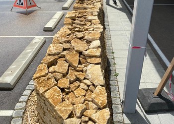 Etat réalisé (août 2023) – Les murs de pierres sèches sont des milieux qui abritent une faune et une flore spécialement adaptées aux conditions qui y règnent (©db Forêt et jardin Sárl)