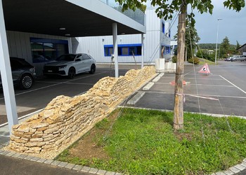 Etat réalisé (août 2023) – Les murs de pierres sèches sont des milieux qui abritent une faune et une flore spécialement adaptées aux conditions qui y règnent (©db Forêt et jardin Sárl)