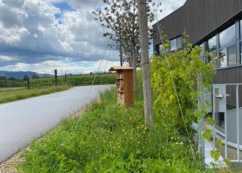 Etat réalisé (août 2023) – Les espaces extérieurs des bâtiments du Groupe Recomatic sont désormais végétalisés (plantation d’arbres avec pieds végétalisés, plantation de plantes grimpantes, aménagement d’hôtel à insectes (©db Forêt et jardin Sárl)