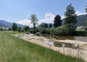 Etat aménagé (mai 2023) – Areuse : développement des semis, des plantations et diversifications morphologique