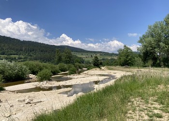 Etat aménagé (mai 2023) – Areuse : développement des semis, des plantations et diversifications morphologique