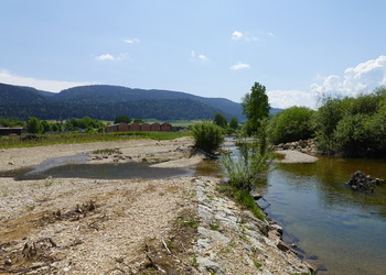 Etat aménagé (mai 2023) – Areuse : développement des semis, des plantations et diversifications morphologique
