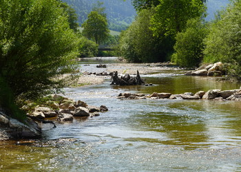 Etat aménagé (mai 2023) – Areuse : diversification des vitesses d’écoulements, des hauteurs d’eau et diversification des habitats aquatiques.