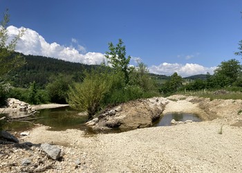 Etat aménagé (mai 2023) – Areuse : apparition de milieux aquatiques annexes favorables à un large panel d’espèces