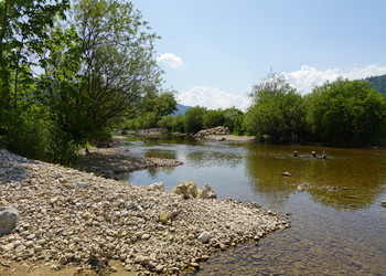 Etat aménagé (mai 2023) – Au droit des losanges sur les pieds de berges de l’Areuse, des bancs de graviers se créent et se défont