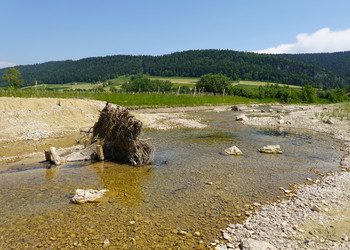 Etat aménagé (mai 2023) – Le Bied de Môtiers a retrouvé son tracé (presque) d’antan. Les boutures de saules et autres plantations ligneuse reformeront rapidement un cordon boisé sur ses berges.