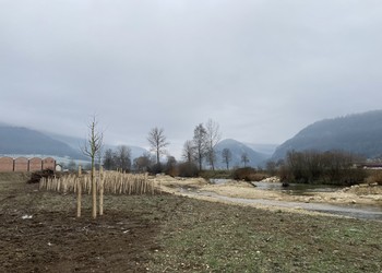En travaux (décembre 2022) – Plantations des ligneux