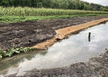 Travaux de génie biologique (septembre 2020)