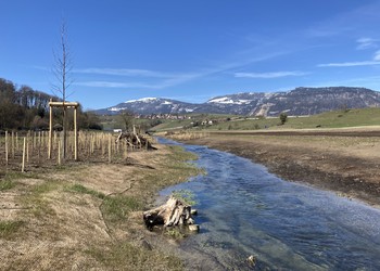 Travaux de plantations des ligneux (mars 2021)