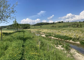 Vue générale du secteur amont au printemps de la deuxième année suivant la fin des travaux (mai 2022).