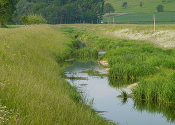 Vue générale du secteur amont au printemps de la troisième année suivant la fin des travaux (mai 2023). Le héron pourpré, régulièrement observé sur le site, semble trouver son compte sur les berges du Nozon revitalisé.