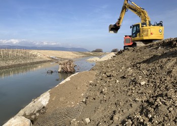 Travaux (février 2021) – Accompagnement de la pose d’un treillis anti-castor en rive droite