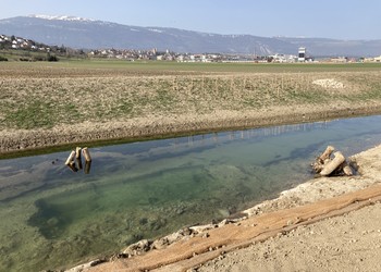 Travaux (février 2021) – Aménagement de surprofondeurs et ancrages de souches pour diversifier le lit tout en garantissant le passage d’un bateau faucardeur pour l’entretien futur.