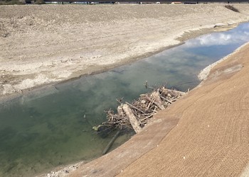 Travaux (février 2021) – Aménagement de caches en bois mort pour la faune piscicole