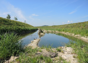 Etat du développement de la végétation une année après la fin des travaux (mai 2022)