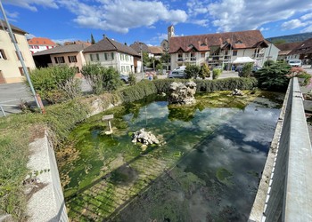 Etat initial (juillet 2022) - Plan d’eau stagnante très eutrophe qui ne correspond pas aux milieux crénaux naturels avec espèces exotiques plantées sur les bords des murs