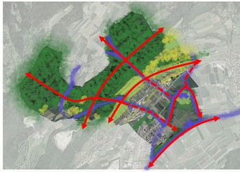 Analyse de l’infrastructure écologique à l’échelle du territoire communal dans la phase initiale de projet de territoire (Cressier)