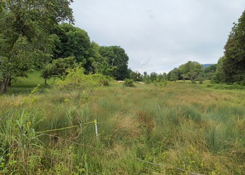 Zone humide d’intérêt local (Milvignes)