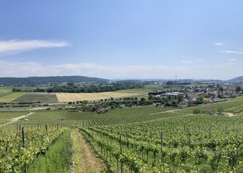 Valeur paysagère générale (Cressier) 