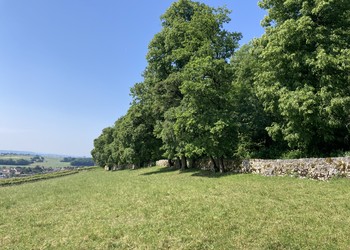 Mur de soutènement ponctuellement maçonné présentant un intérêt local de par sa longueur (Cressier/Cornaux)
