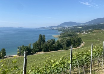 Valeur paysagère générale (La Grande Béroche)