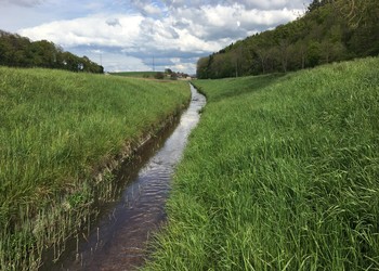 Etat initial (mai 2017) – Avant la revitalisation, le cours d’eau s’écoulait dans un chenal stabilisé rectiligne et possédait des berges raides. 