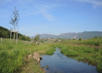 Etat 1 an après travaux (mai 2022) – Après les travaux, le cours d’eau a retrouvé son caractère dans un espace cours d’eau élargi.