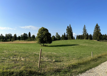 Paysage de grande valeur (Les Bois)