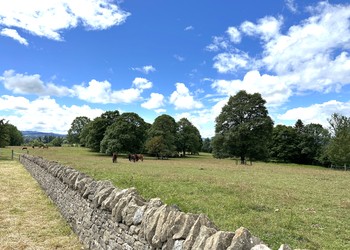Les murs de pierres sèches sont des éléments du patrimoine bâti et culturel important de certaines communes (Les Bois)