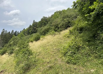 Pâturage sec en voie d’embroussaillement pour lequel des objectifs de gestion sont définis dans la CEP (Les Bois)