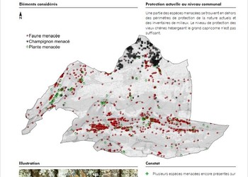 Exemple de fiche issue du rapport – thématique Espèces