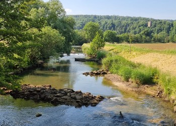 Etat réalisé (juin 2023) – Vue amont du secteur d’intervention : amélioration de la morphologie et réaménagement des épis.