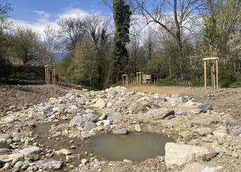 Travaux de plantation et semis (mars-avril 2021)