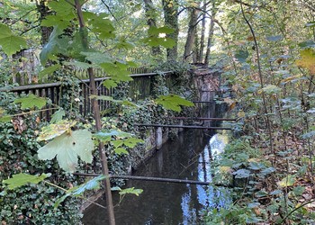 Etat initial (octobre 2022) – L’étude prévoit par ailleurs la définition d’un nouveau tracé de l’Augraben, notamment sur les tronçons où ce dernier est canalisé. Le but est de retrouver une morphologie du ruisseau proche de l’état naturel.