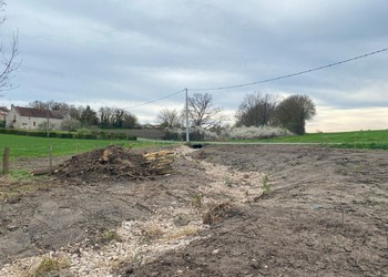 Etat réalisé (mars 2024) – L’ensemble des végétaux ont été prélevés dans la zone humide juste en aval et plantés le long du nouveau tracé du ruisseau.