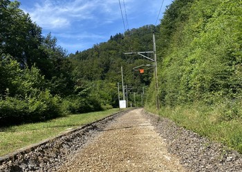 Renouvellement des rails, des traverses et du ballast pouvant avoir un impact sur les reptiles