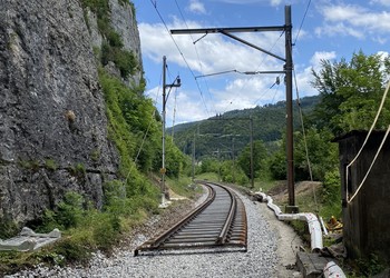 Renouvellement des rails, des traverses et du ballast pouvant avoir un impact sur les reptiles