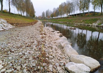 Etat réalisé (novembre 2024) – Développement spontané de la végétation sur les replats inondables