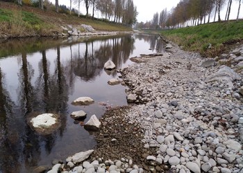 Travaux (novembre 2024) – Zone de dépôt à proximité du replat inondable en rive droite