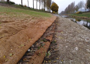 Travaux (novembre 2024) - Ensemencement des terrassements