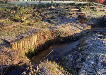 Etat initial (novembre 2023) – Après débroussaillage. De nombreuses structures sur la berge sont voués à être démontées.