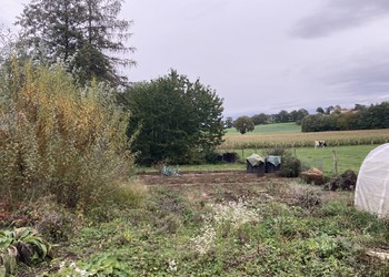 Etat initial (octobre 2023) – Les potagers de la copropriété ont été désertés pour permettre les futurs travaux.