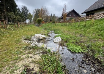 Etat réalisé (novembre 2024) – 6 mois après la fin des travaux de végétalisation