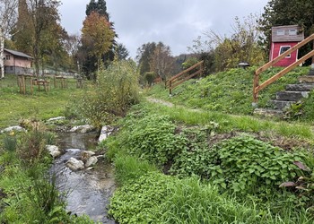 Etat réalisé (novembre 2024) – 6 mois après la fin des travaux de végétalisation. Les escaliers (accès aux potagers) et mains courantes ont été remplacés.