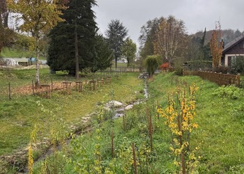 Etat réalisé (novembre 2024) – 6 mois après la fin des travaux de végétalisation. Les clôtures chez les riverains ont été remplacées.